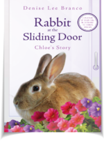 Rabit at the Sliding Door