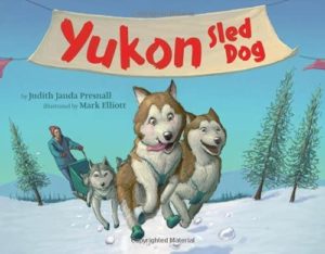 Yukon Sled Dog