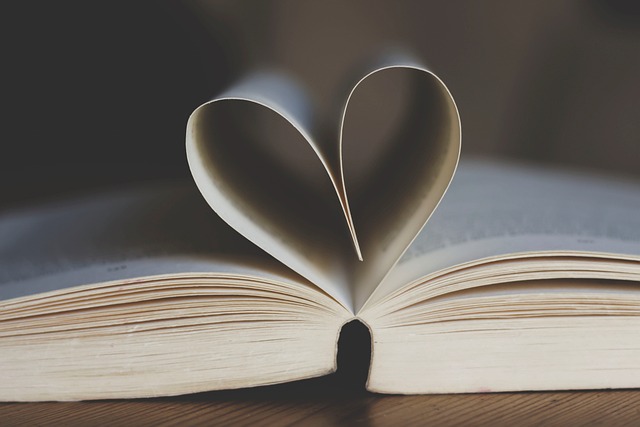 Books Heart